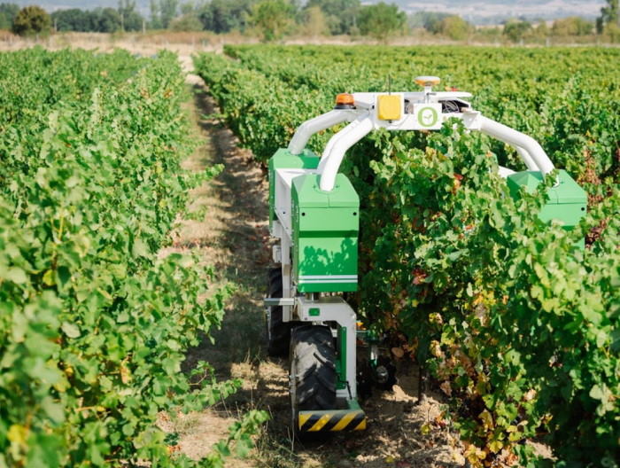 Robot agricole désherbage Ted Naio technologies